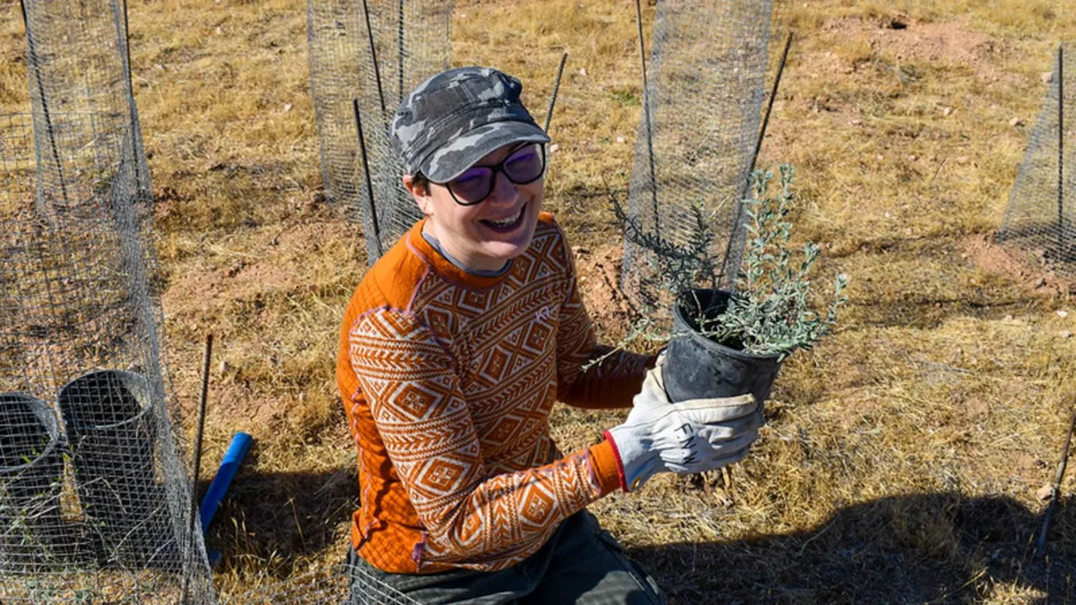 Desert Refuge Native Planting