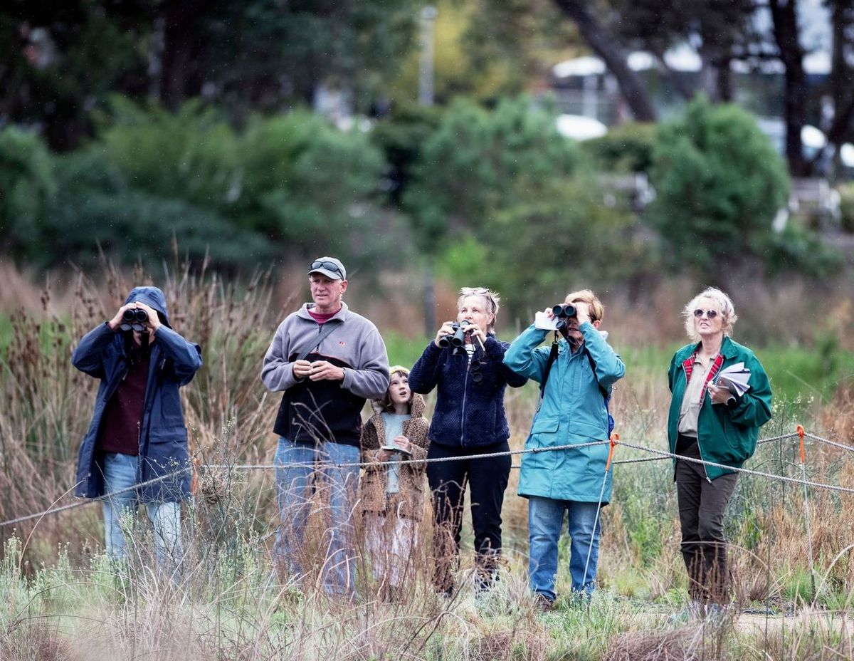 Bird Survey and Nature Hike