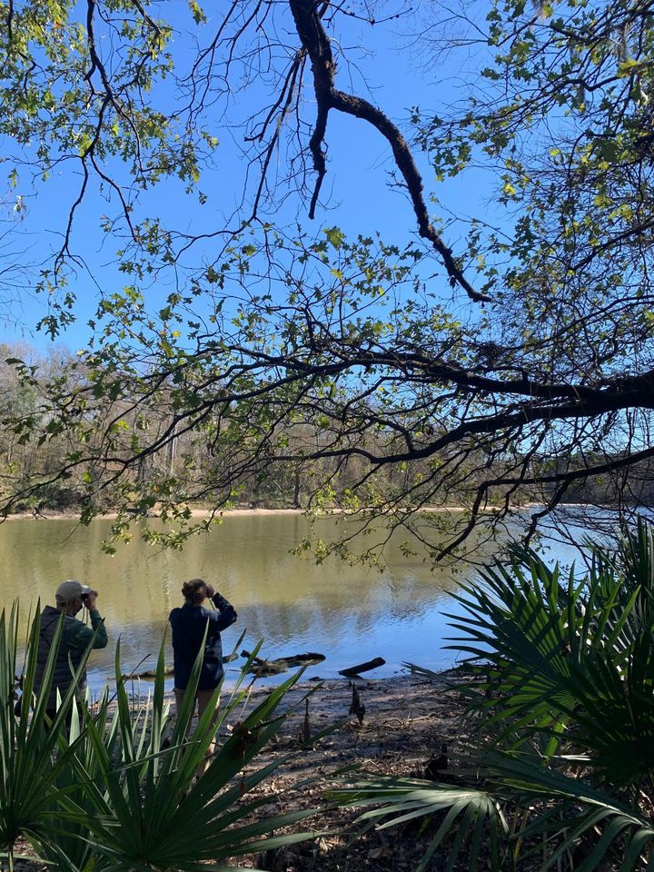 Bird Survey and Nature Hike