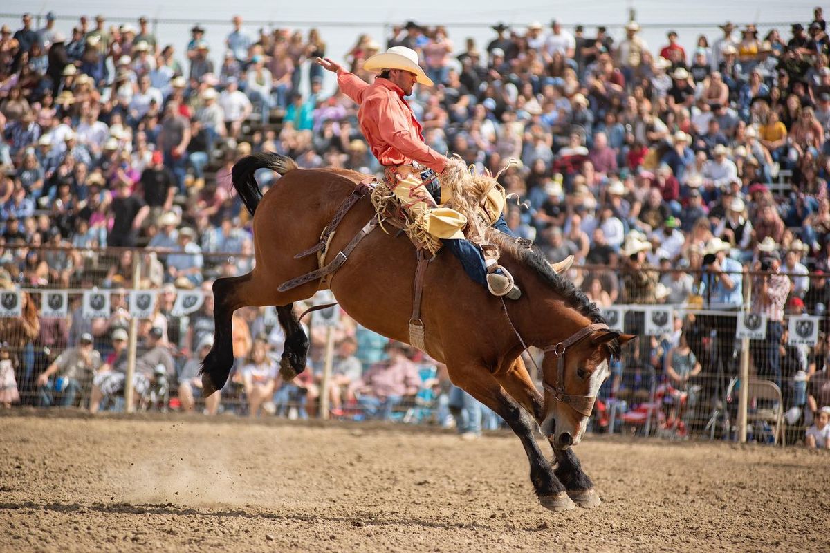 Oakdale Rodeo