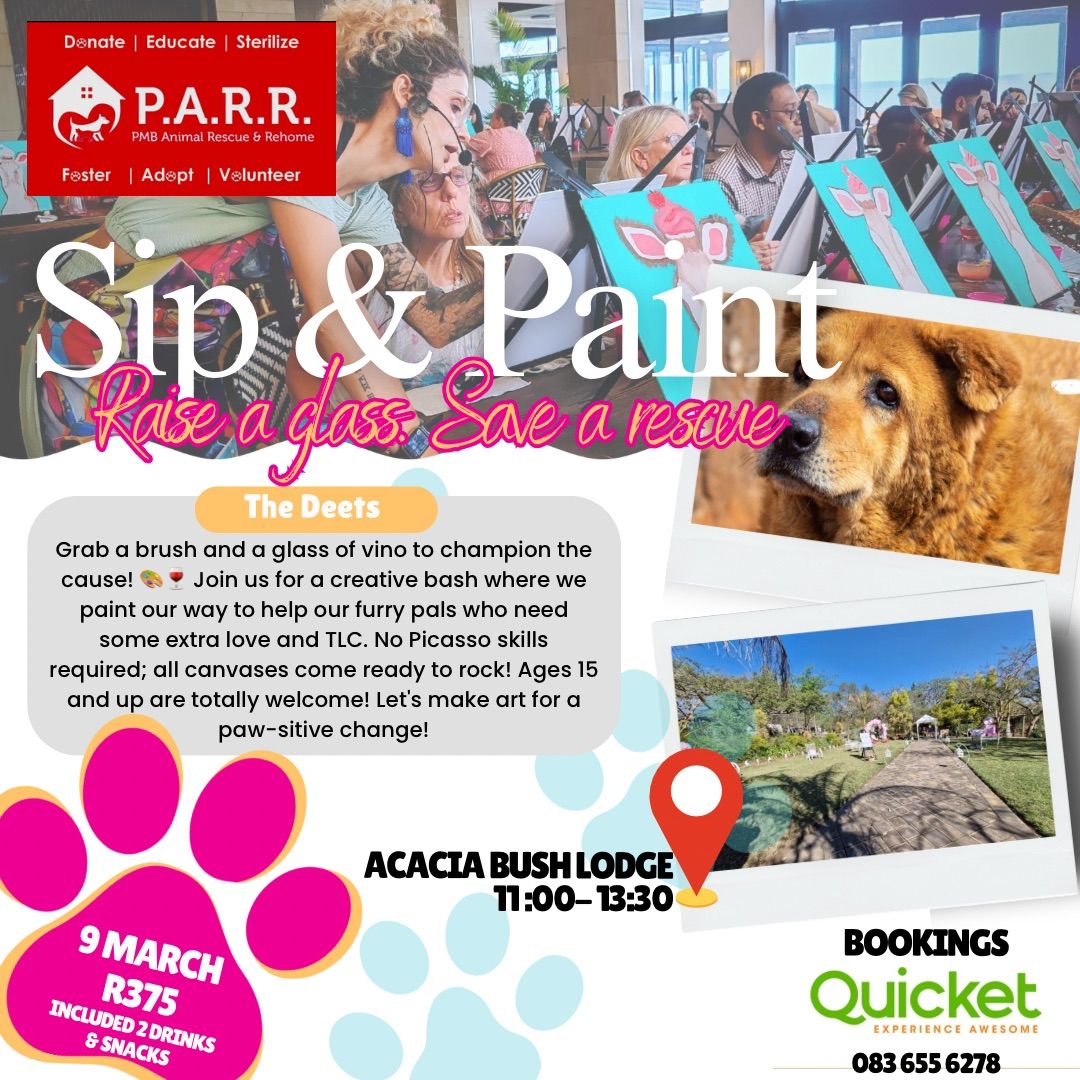 Sip & Paint - PMB - 