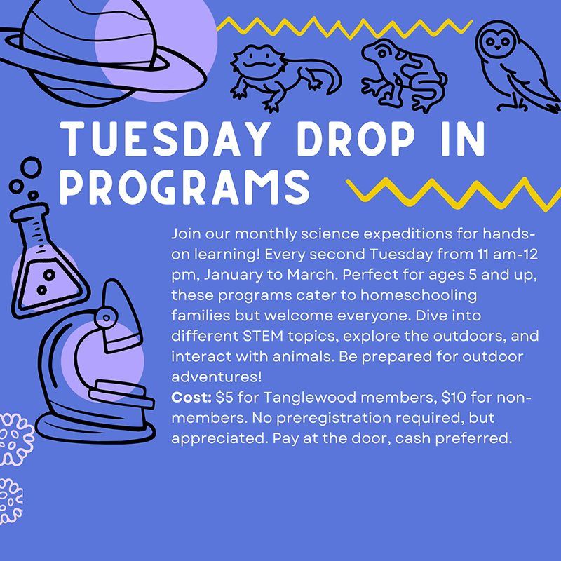 Tuesday Drop-in Program: Mad Science Experiments w\/ Maggie