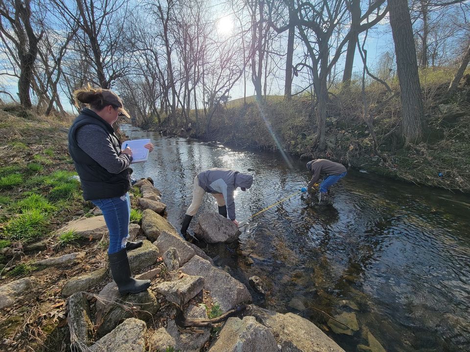 Spring 2024 Pearson Creek Monitoring