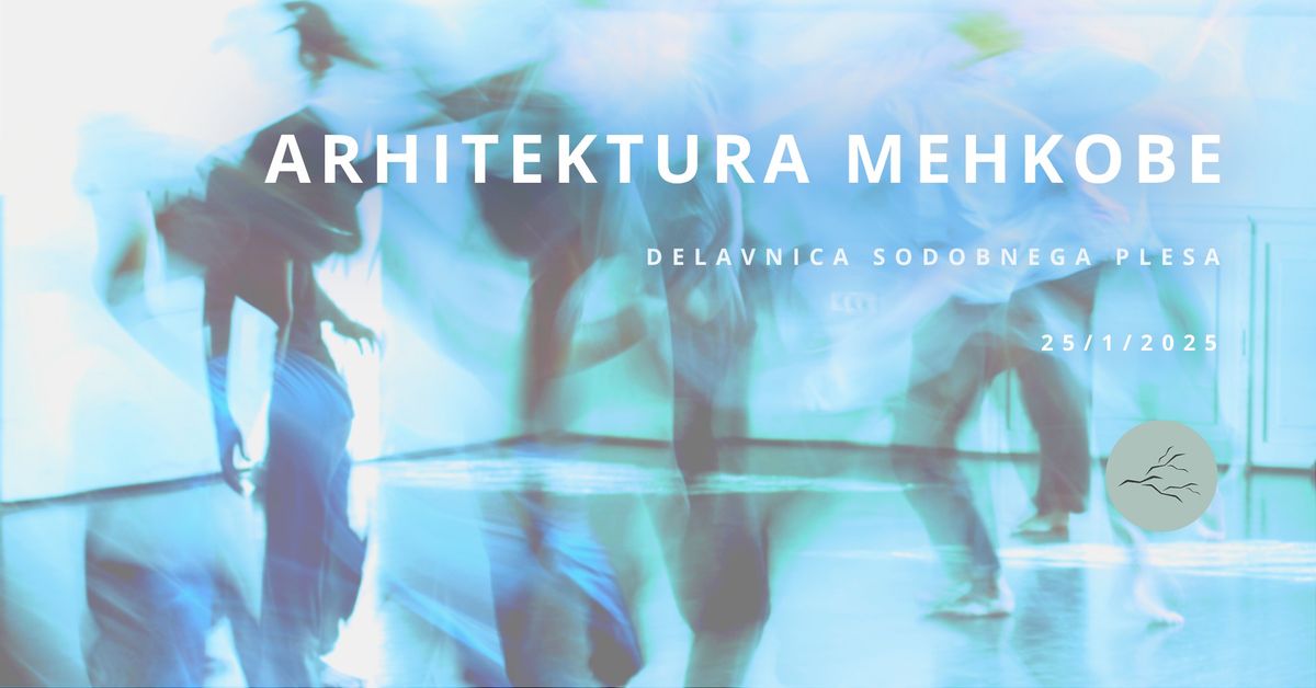 Arhitektura mehkobe V. | Delavnica sodobnega plesa