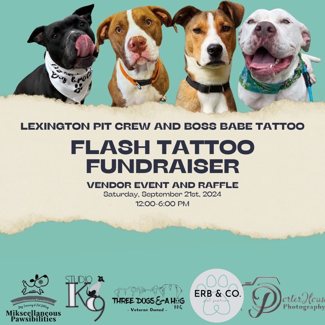 Flash Tattoo Fundraiser