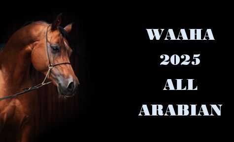 2025 WAAHA ALL ARABIAN