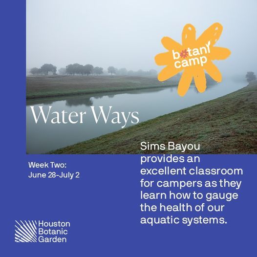 BotaniCamp: Water Ways