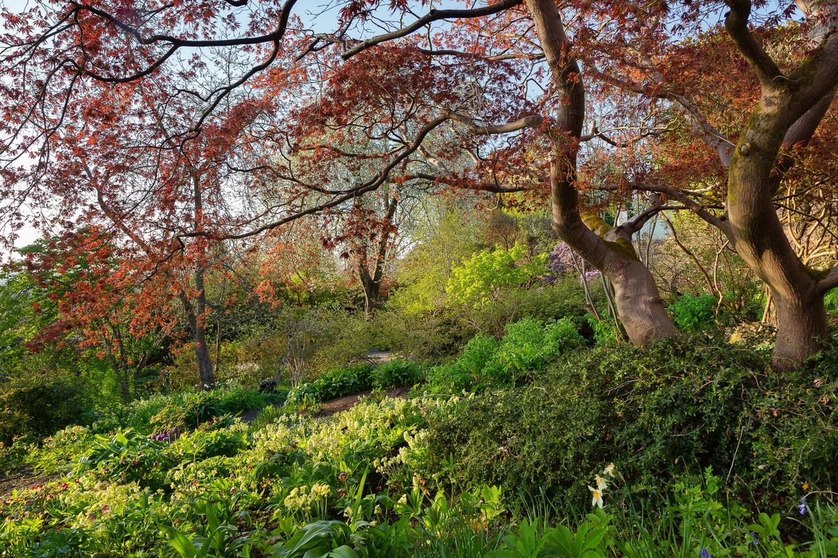 Garden & Plant Photography Workshop with Ray Cox