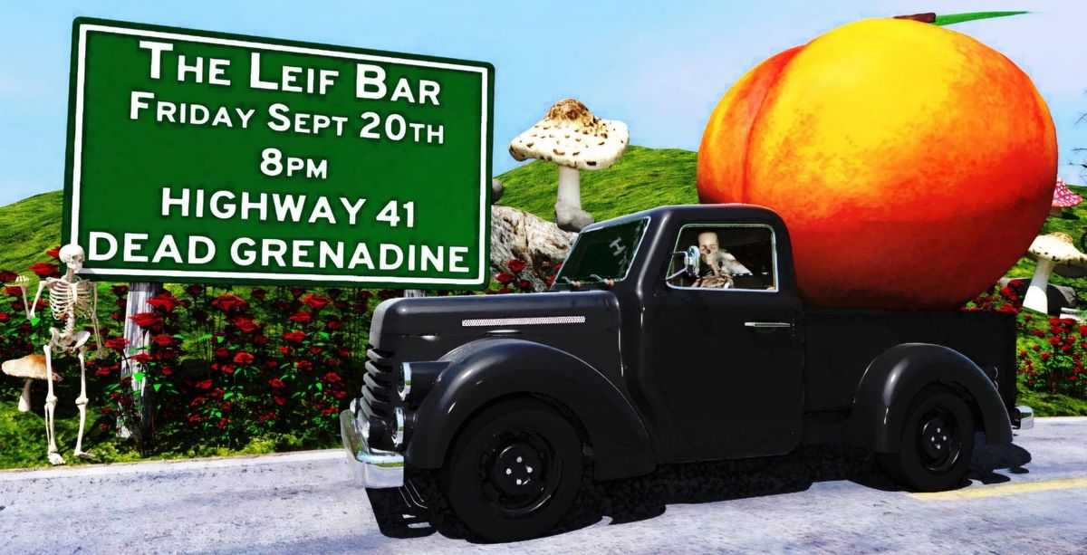 Highway 41 & Dead Grenadine play The Leif Irish Pub $10