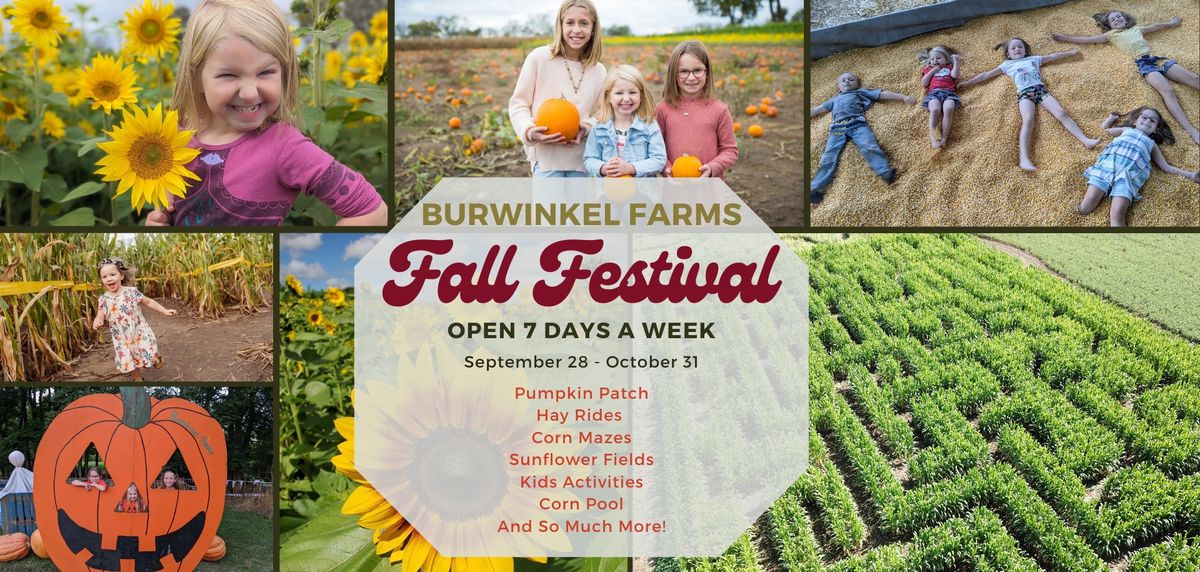 Sunflower hayride, corn maze, and pumpkin patch weekends!