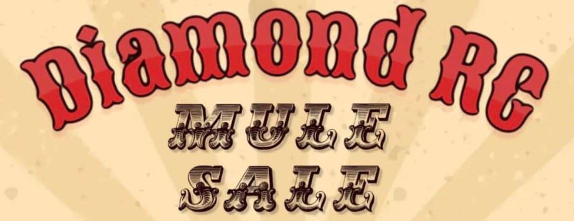 Diamond RC Mule Sale