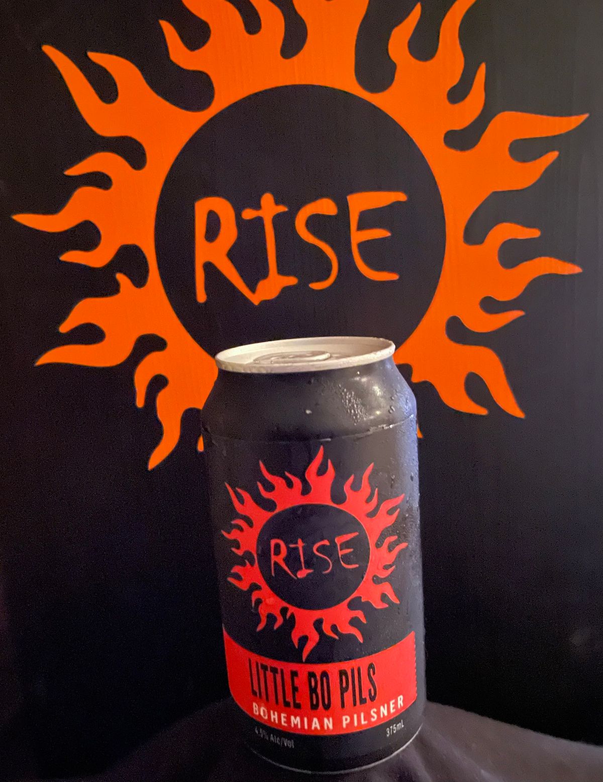 RiSE @ Project Brewery 