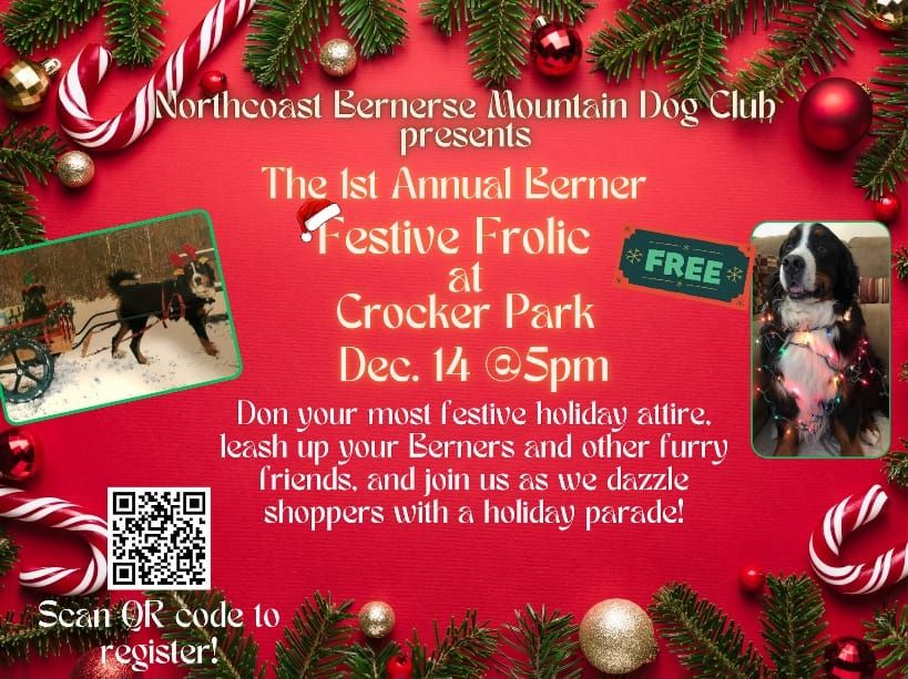 1st Annual Berner Festive Frolic