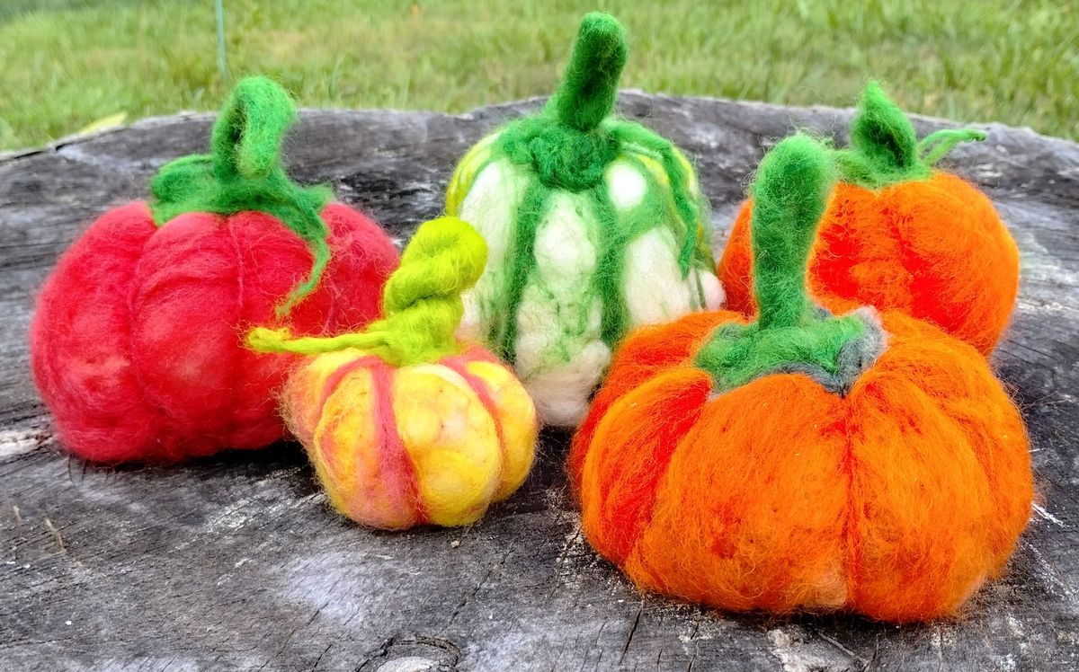 Make an Adorable Needle Felted Fall Pumpkin at North Lake Park