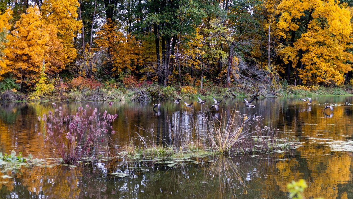 Bird Migration Hike