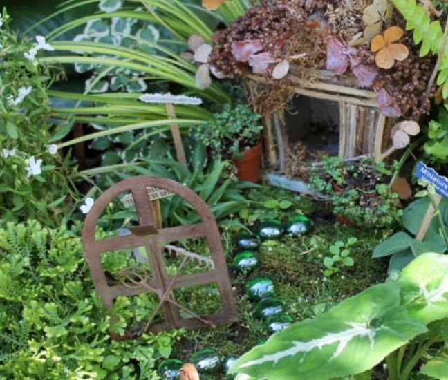 Fairy Gardens