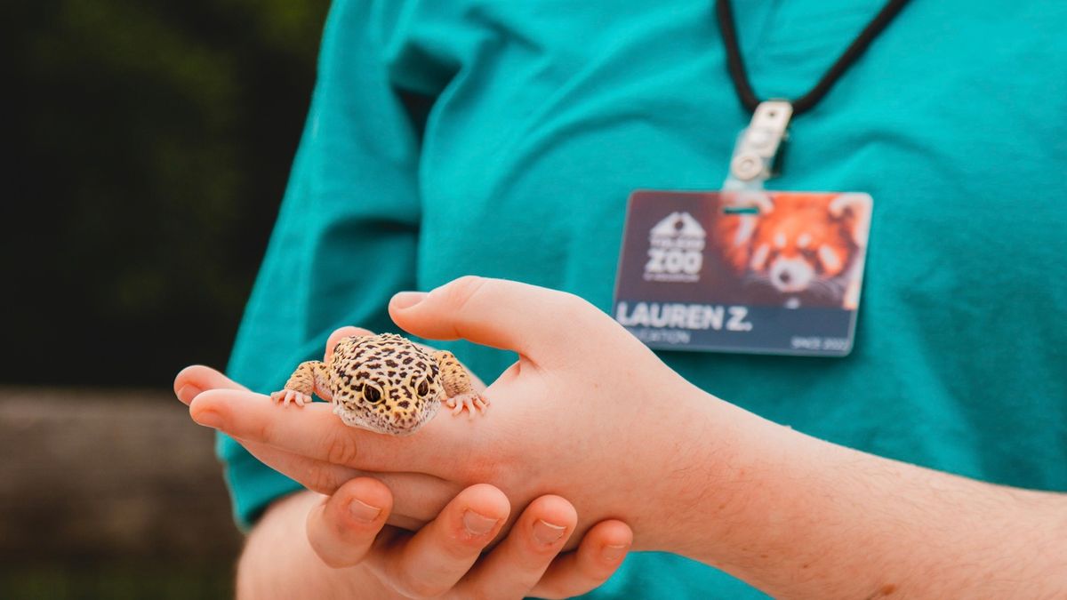 Toledo Zoo Hiring Event 