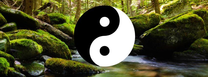 Tai Chi, Tea, & Meditation Workshop