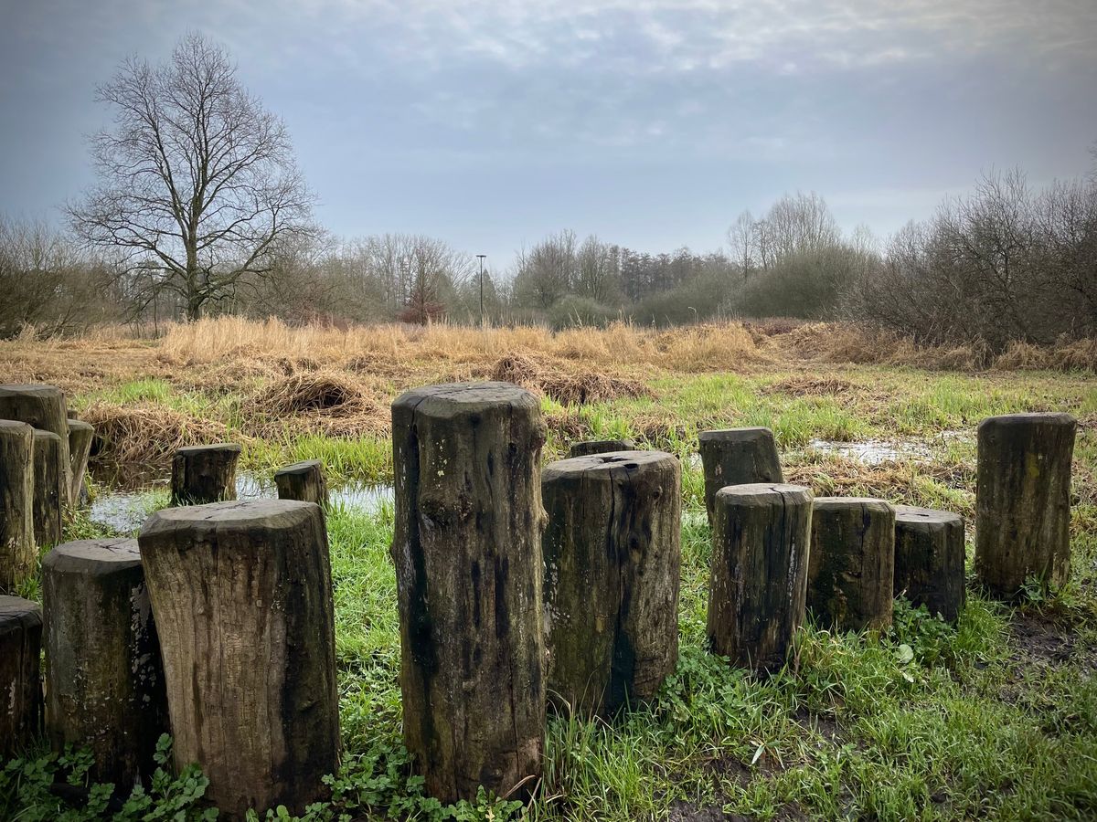 Lentewandeling Grote Netewoud