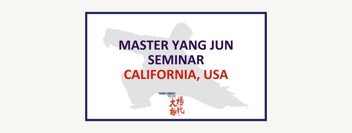 Master Yang Jun Seminar: Sunnyvale, CA, USA