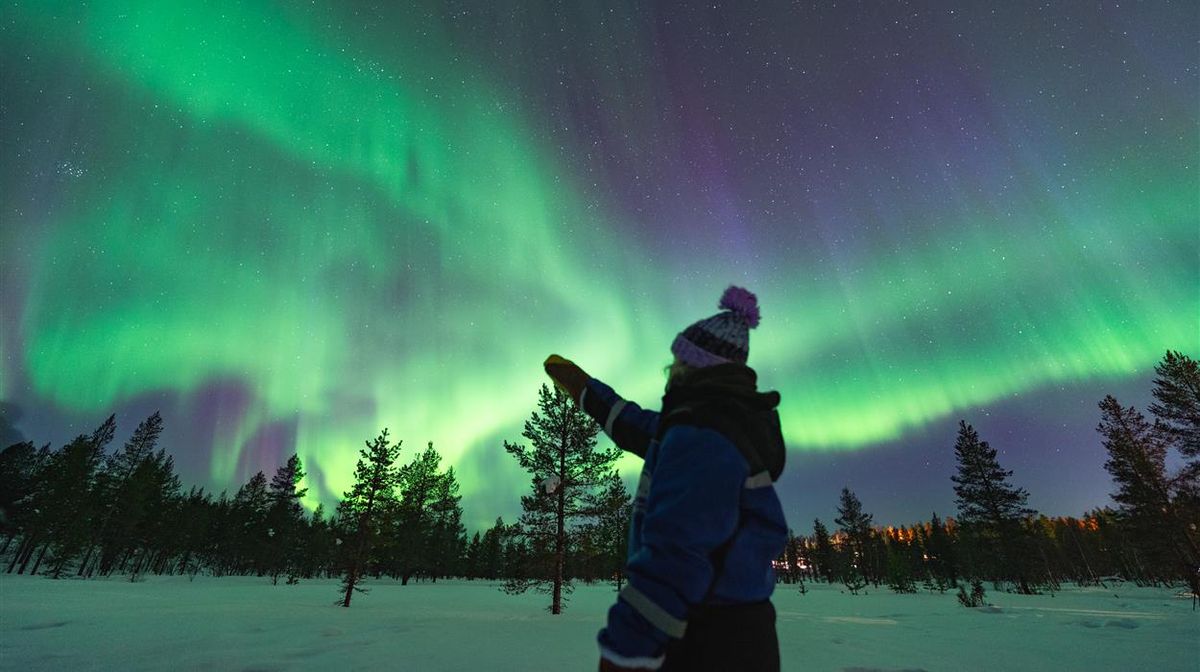 Borealis - A Holiday Spectacular! at Muckleshoot Events Center