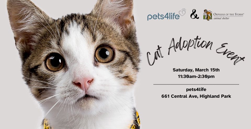 Cat Adoption Event at Pets4Life