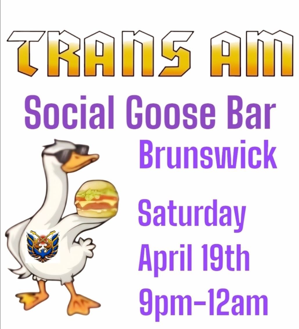 Trans Am in the Den at The Social Goose