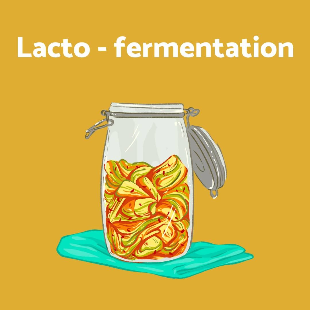 Atelier Lacto-fermentation