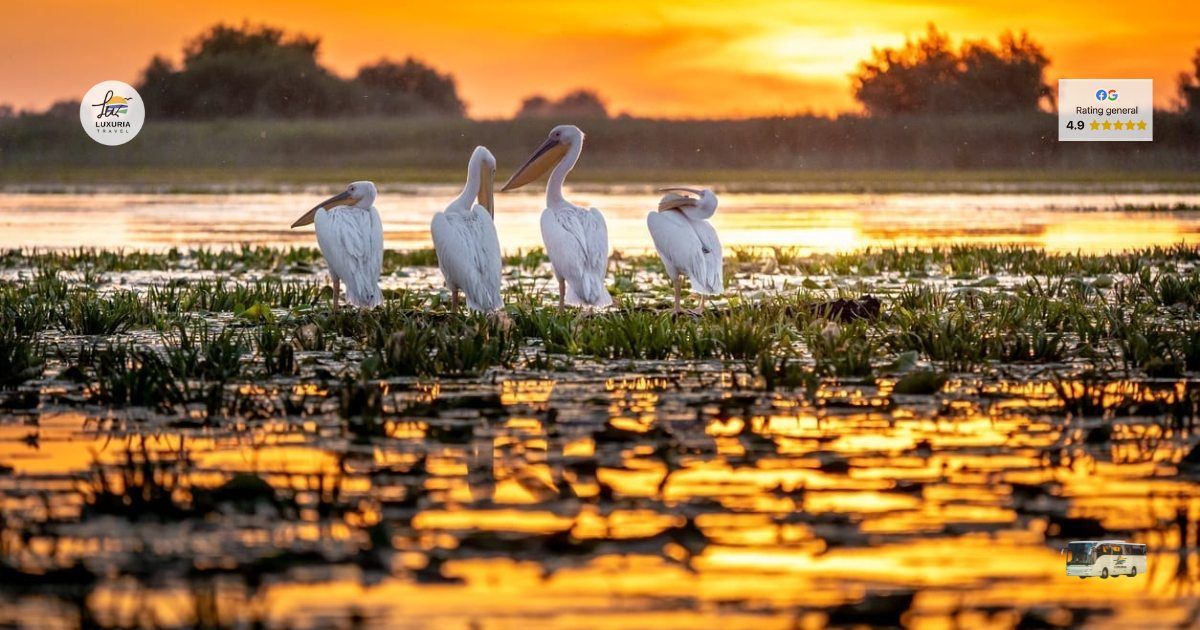 Excursie 1 zi in Delta Dunarii - de la 184 lei