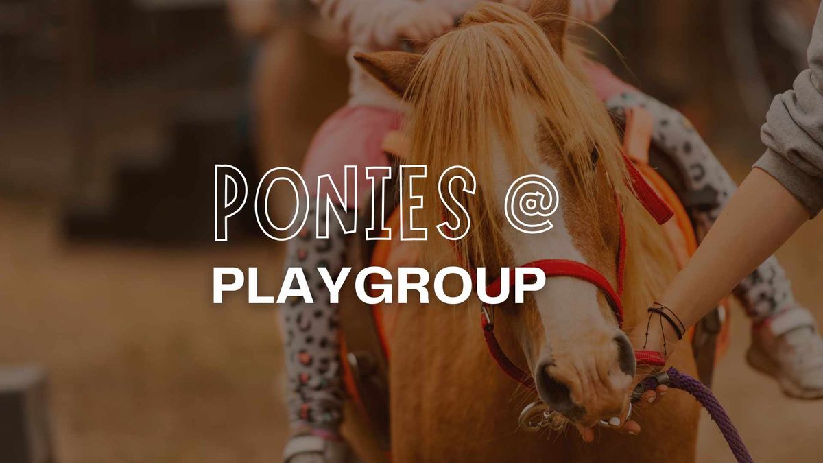 Ponies at Playgroup