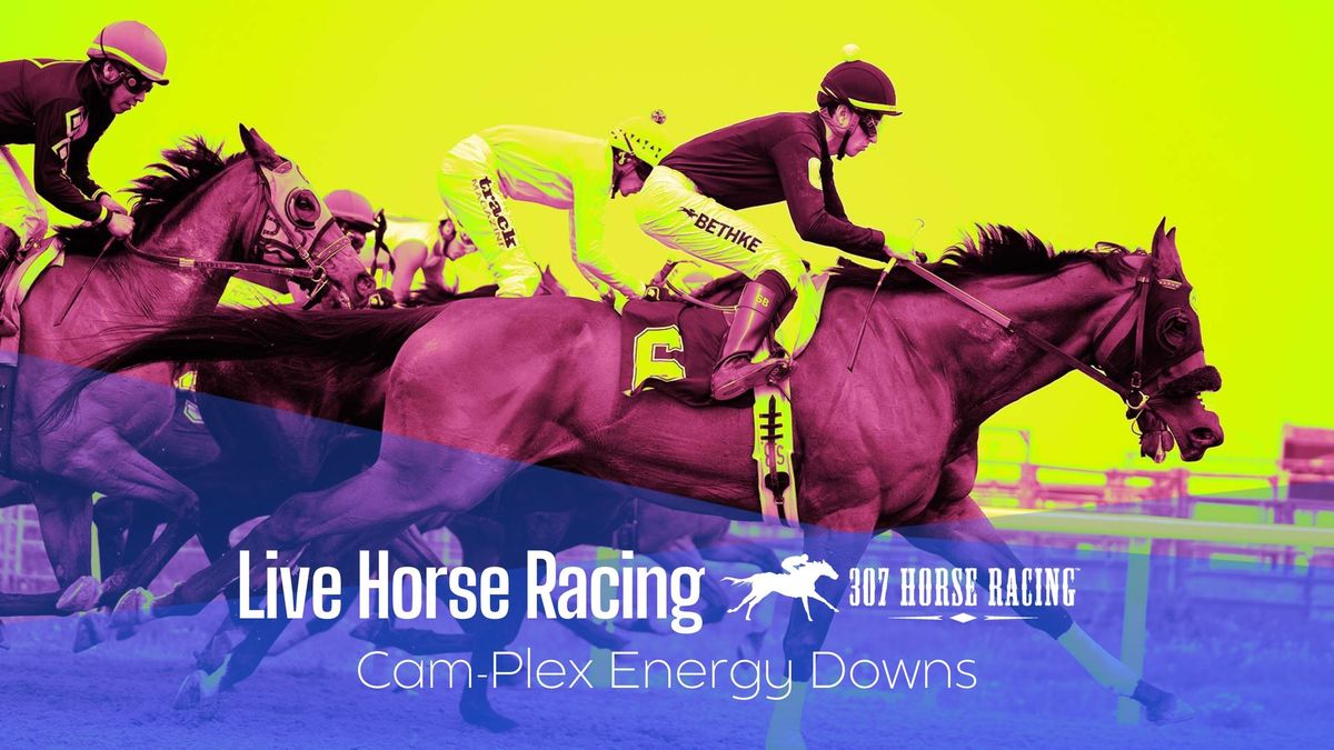 LIVE Horse Racing