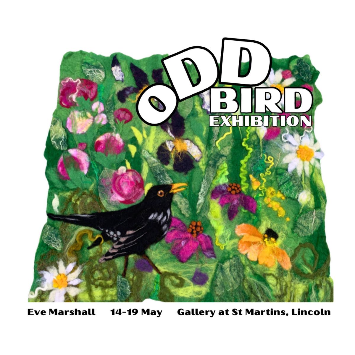 Odd Bird Exhibition