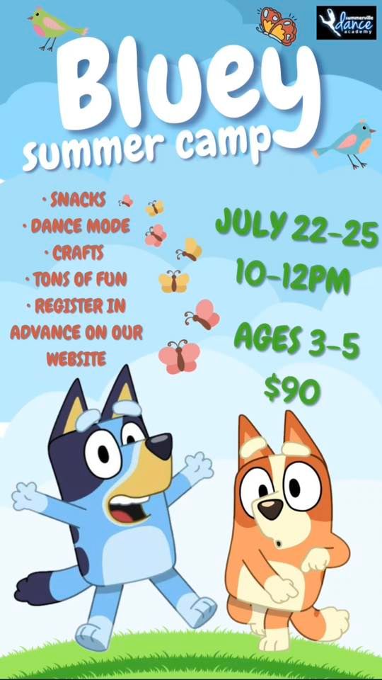 Bluey Summer Dance Camp