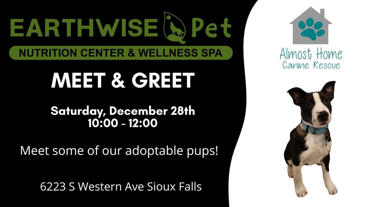 Meet and Greet: Earthwise Pet