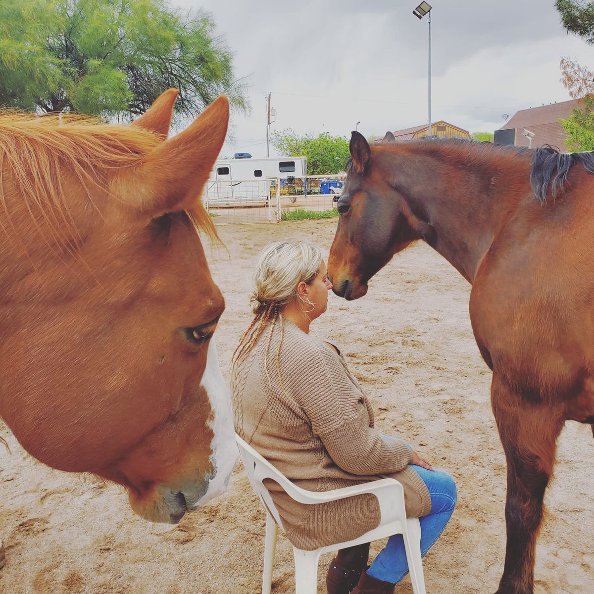 Sound Bath Meditation with Horses