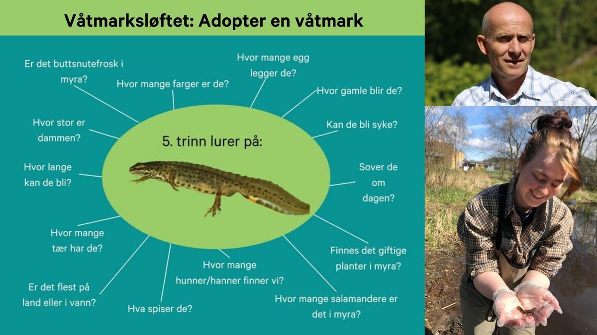 Natur p\u00e5 torsdag: V\u00e5tmarksl\u00f8ftet: Hva er det?