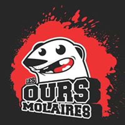 Les Ours Molaires