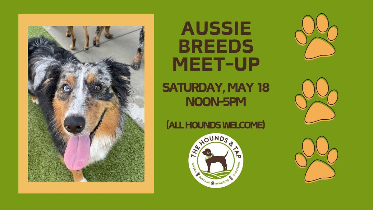 Aussie Breed Meet-up (& World Dog Day Celebration!)