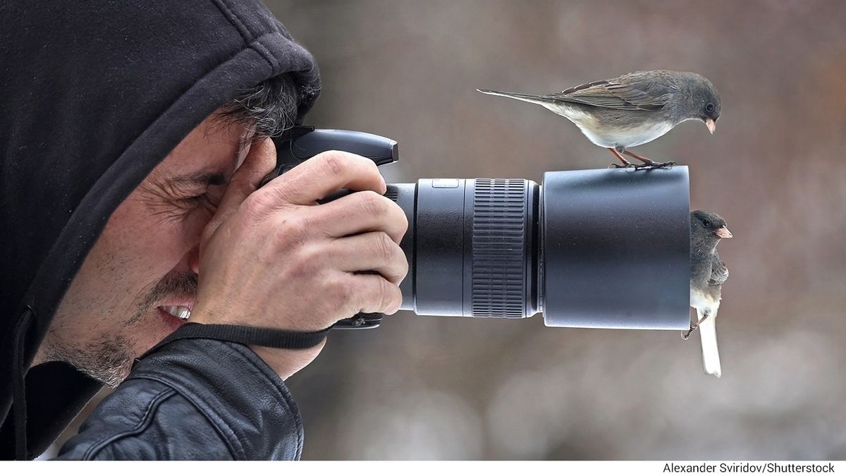The Bird House Photo Contest Begins!