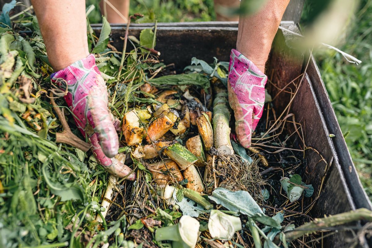 Introduction to Composting Workshop - Whitford