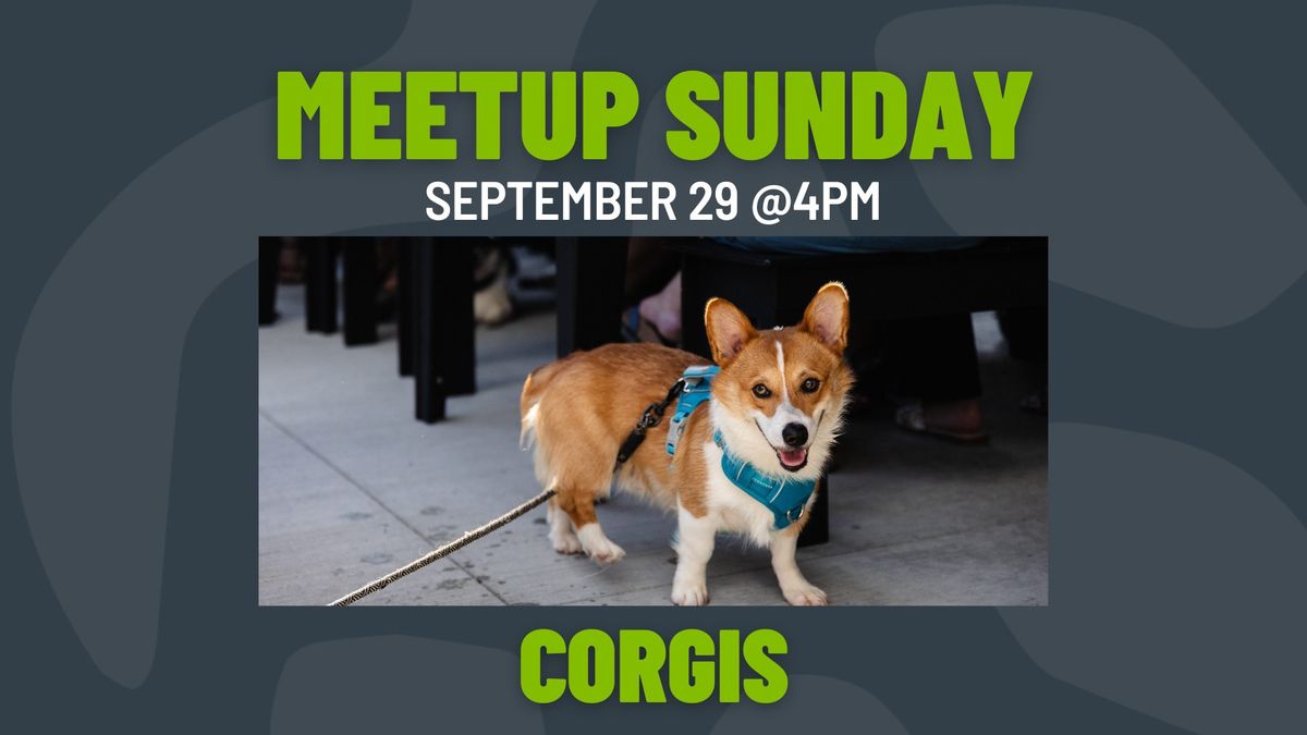 Meetup Sunday: Corgis 