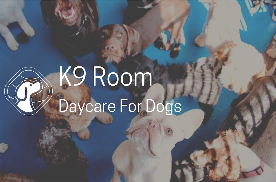 K9 Room Open Day 