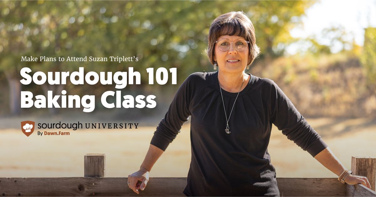 Sourdough 101 Baking Class