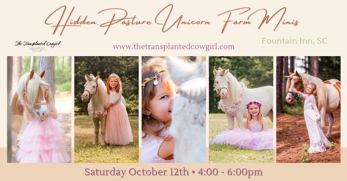 UNICORN & FARM MINIS at Hidden Pasture Unicorn Farm