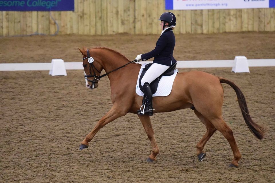 British Dressage