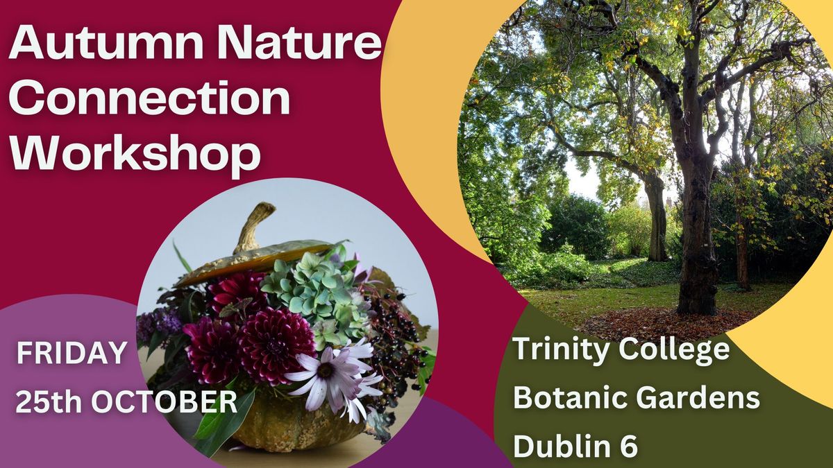 Autumn Nature Connection Workshop