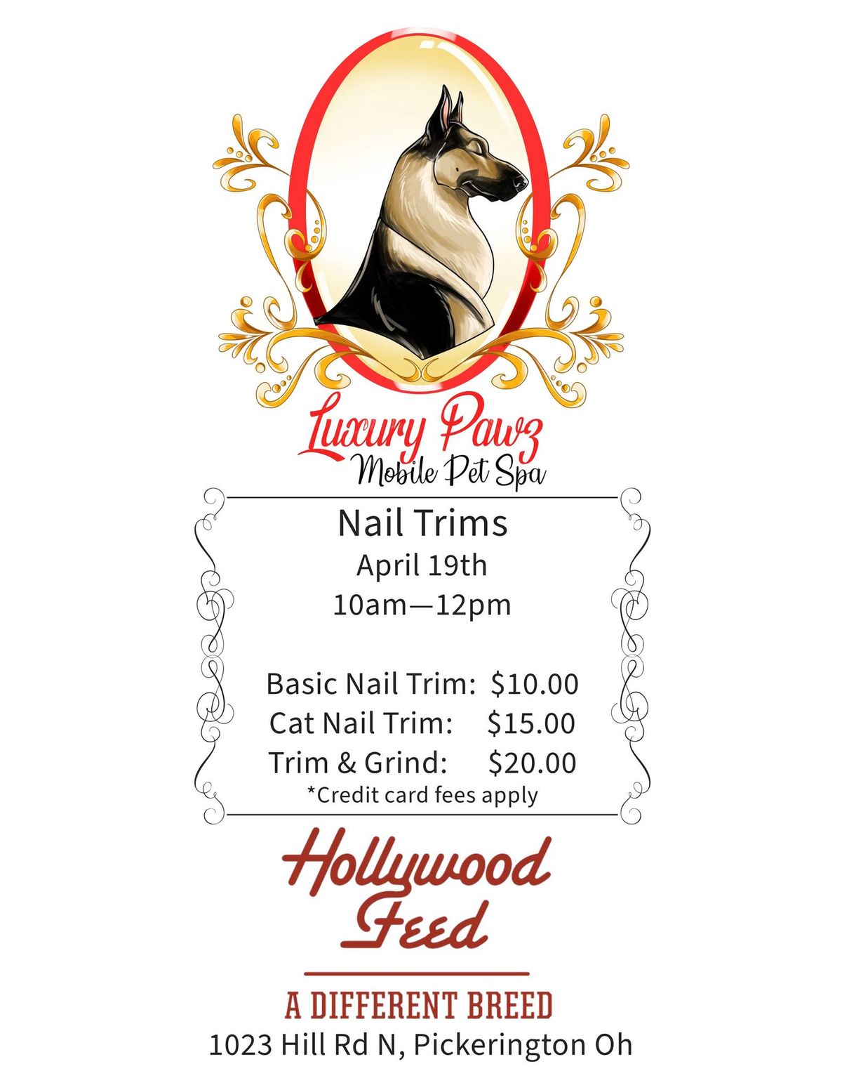 Nail Trims with Luxury Pawz