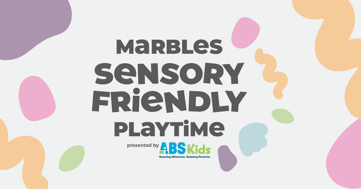 Sensory Friendly Playtime