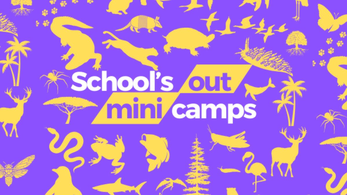 School's Out Mini Camp: Gotta Catch Em All - Reptiles