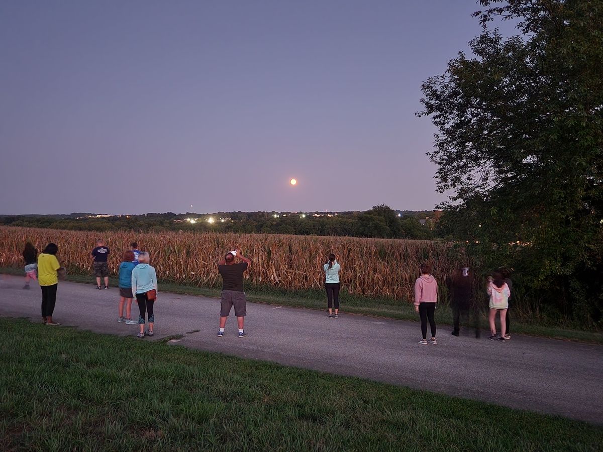 Full Moon Walk